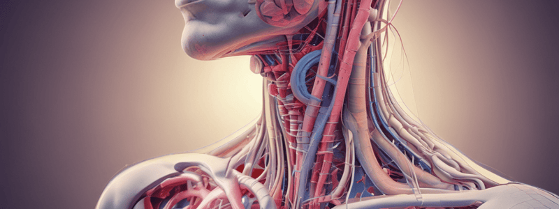 Radiology of the Oesophagus