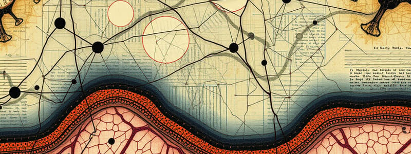 Functions of Basal Laminae in Epithelial Tissue