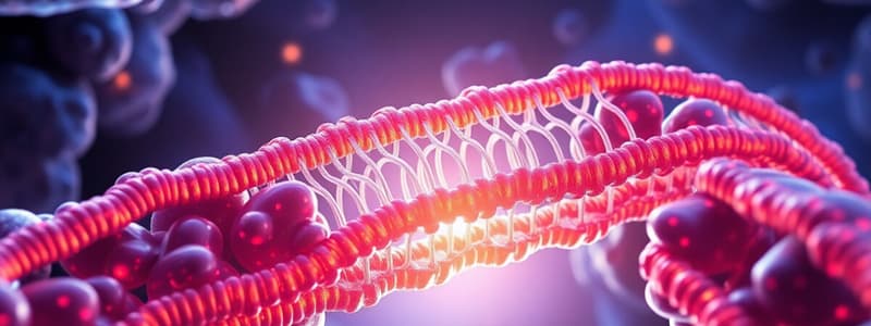 Cell Membrane Structure and Function