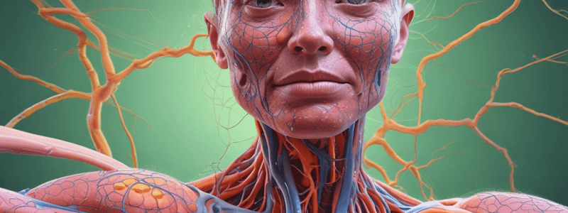 Lymphatic System Overview