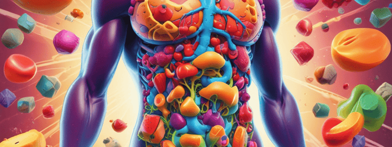 Metabolism and Nutrition: Overview of Metabolic Reactions