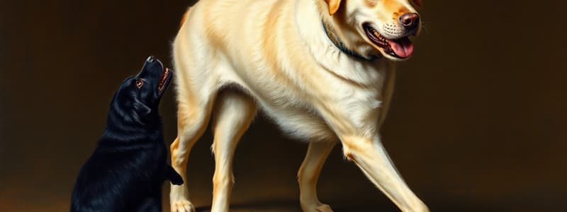 Dog Training Techniques and Evolution