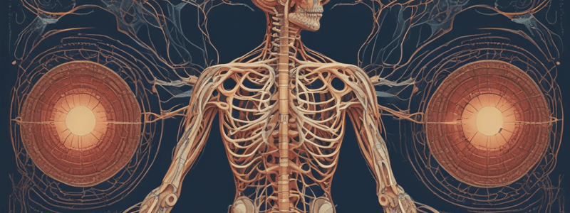 Neurophysiology: ANS- Pt 1