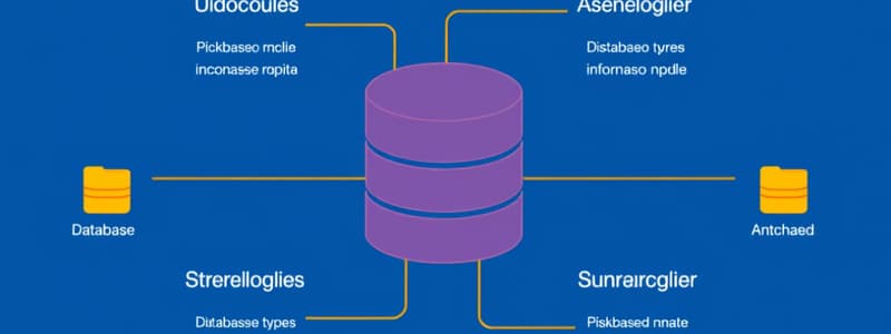 Database Systems Chapter 1 Flashcards