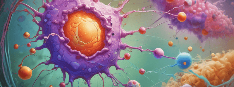 Chromatin Condensation Process