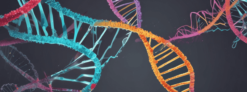 DNA Composition and Structure