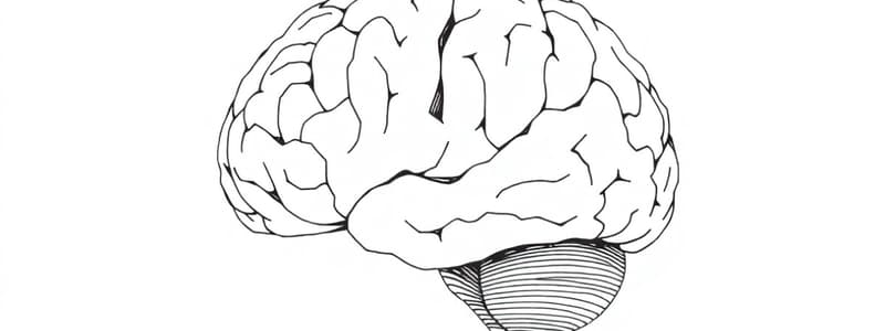 Metodi di Indagine Corticale (Fisiologia 87)