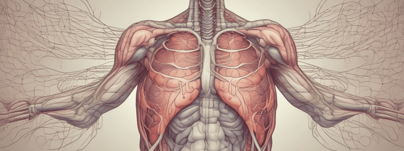 Week 2: The Respiratory System