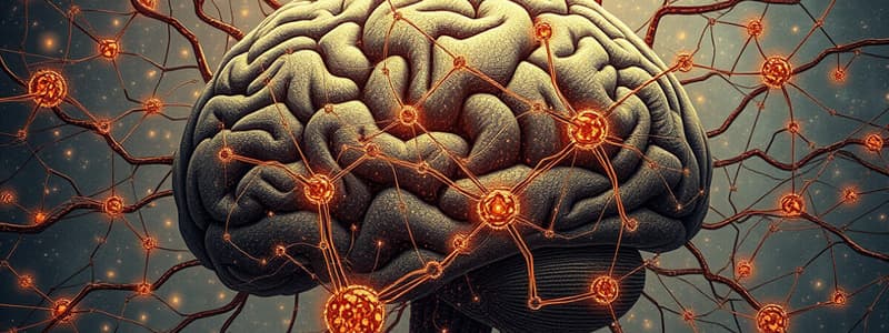 Neural Network Fundamentals and Brain Architecture