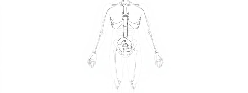 Concentrazione Urinaria e Disidratazione (Fisiologia 70)