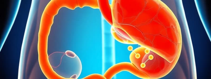 Bile Acid Synthesis and Cholesterol Degradation