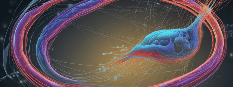 Biology: Cellular Structures and Junctions