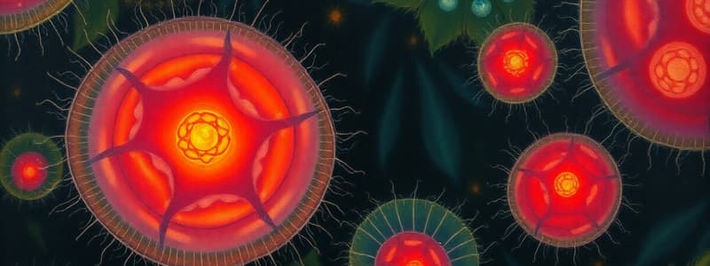 Eukaryotic cells and Protists