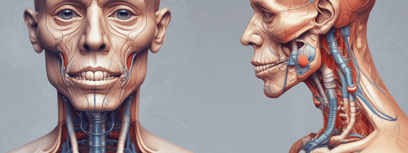 Medical Terminology: Dyspnoea, Wheeze, Stridor, Haemoptysis Quiz