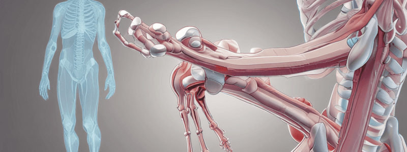 Week 11: Musculoskeletal Pathophysiology - Arthritis and Osteoarthritis