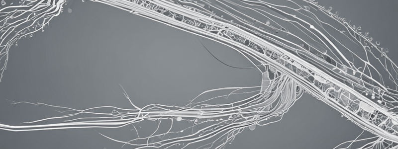 Nervous System Fundamentals