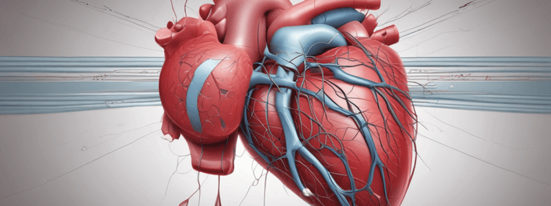 Cardiovascular System Quiz