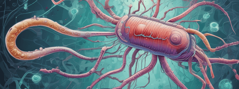 Vibrio cholerae : Identification et traitement