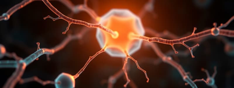 Sensory Receptors Overview L4