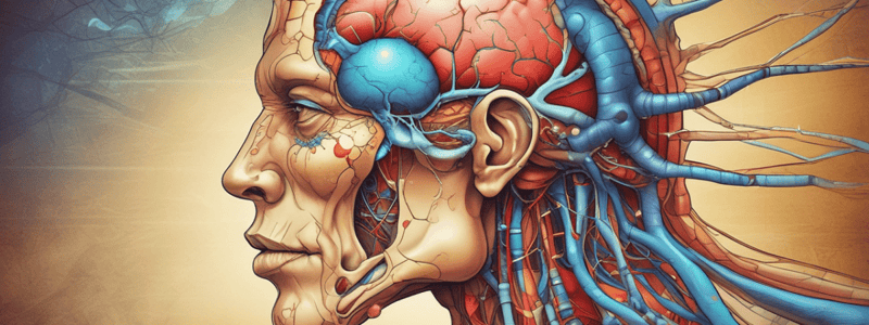 Physiology 2: Hypothalamus & Pituitary Gland Quick review