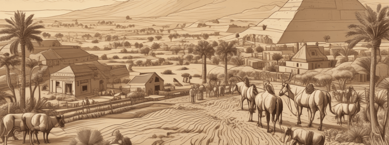 Ancient Egyptian Farming