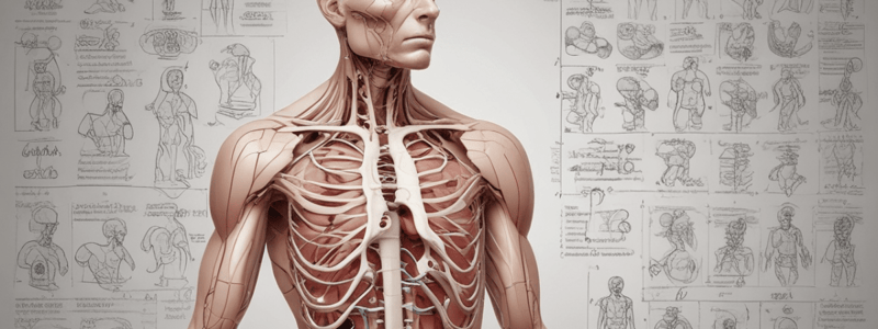 Human Anatomy and Physiology Quiz