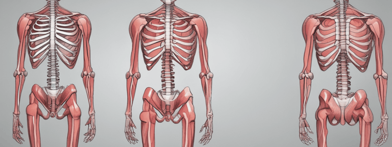 Y1S2 005 III Pharmacology of Skeletal Muscle Systems