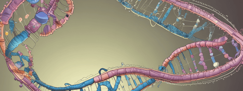 RNA Transcription and Protein Synthesis Quiz