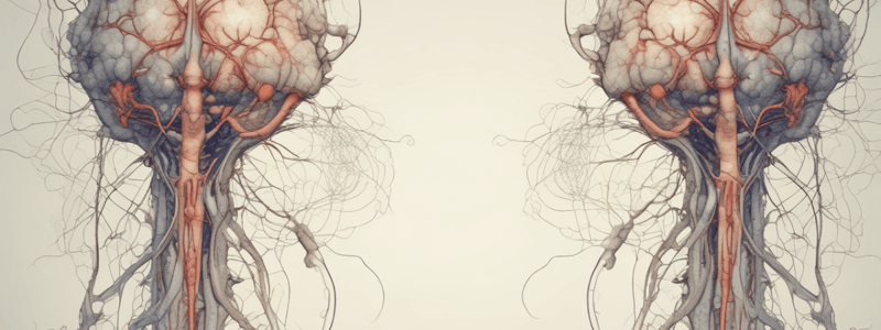 Lower Motor Neuron Lesion