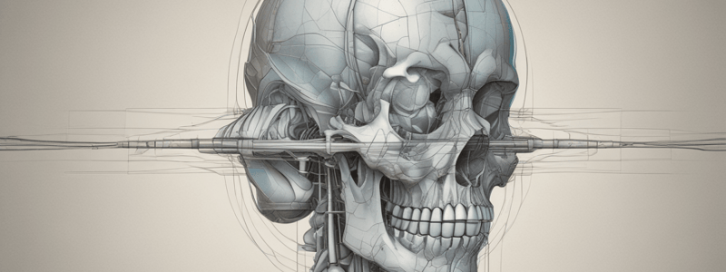 Anatomia - Plano de Camper