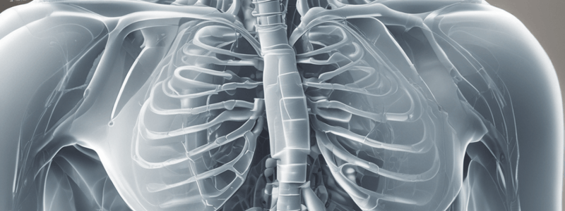 Radiological Examination of the Chest