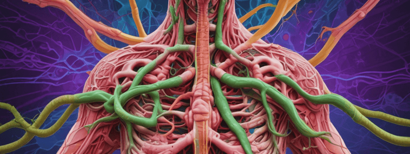 Lymphatic System and Immune Response Quiz