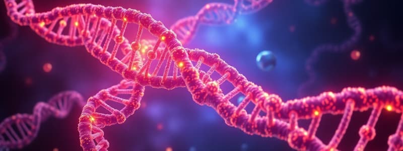 DNA Structure and Function Quiz