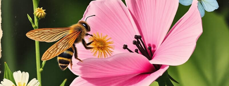 Planten: Bestuiving en Soorten