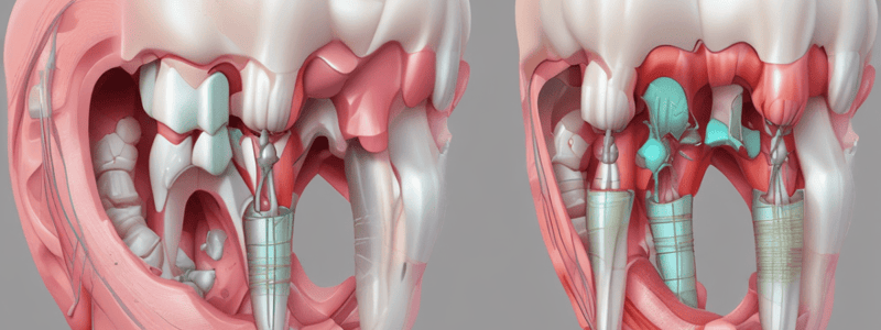 Tooth Development