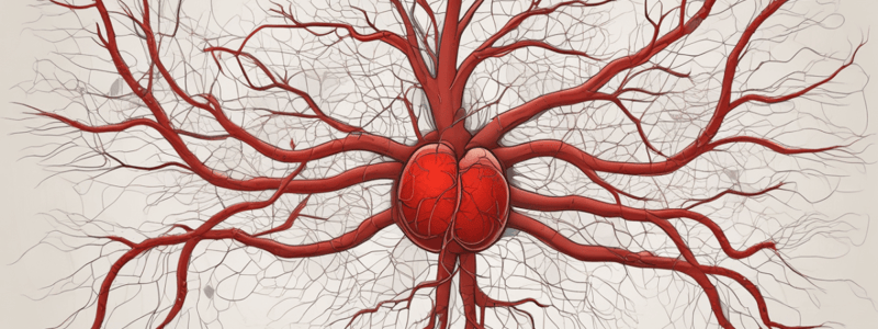 Blood Vessels and Circulation Concepts