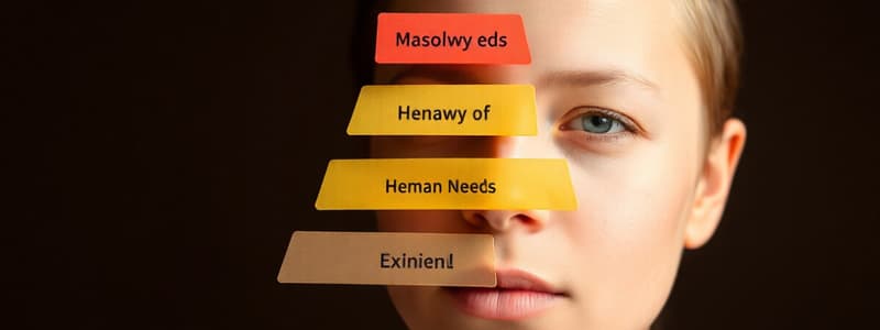 Les Besoins et les Émotions selon Maslow