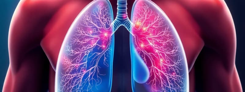 Human Respiratory System Quiz