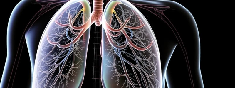 Overview of the Respiratory System