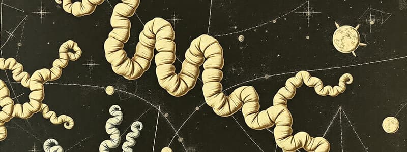 Protein Structure and Folding Quiz