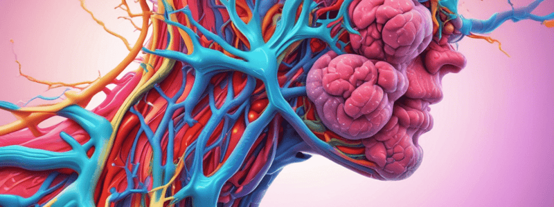 Endocrine System and Hormones Overview