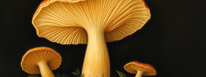 Funghi: Struttura e Riproduzione