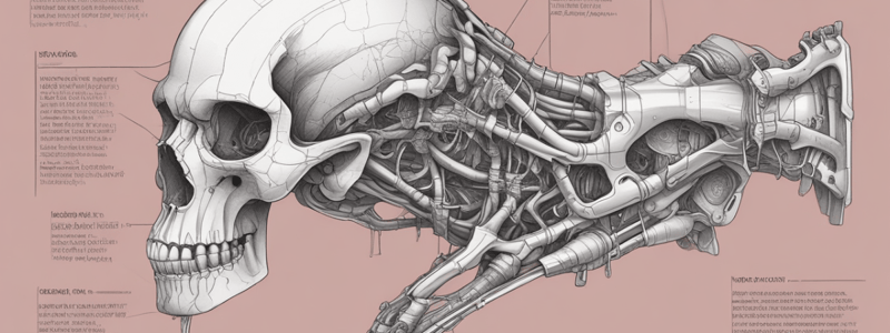 Difficult10_Introduction to Anatomy & Physiology Quiz