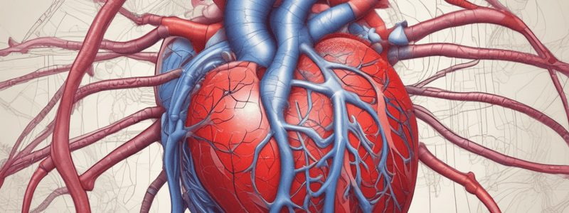 Anatomy of the Heart: Endocardium and Myocardium