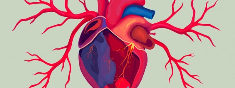 Système Cardiovasculaire - Concepts Clés