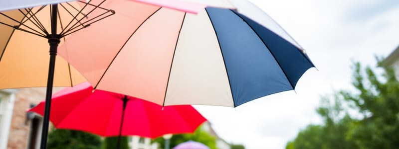 Personal Umbrella Policy Overview