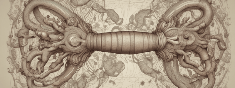 Biologie de l'Évolution du Vieillissement