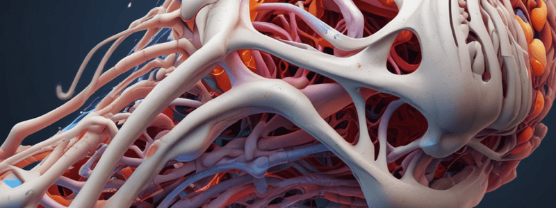 Biomechanics & Surgery: Tissue Mechanics II Bone