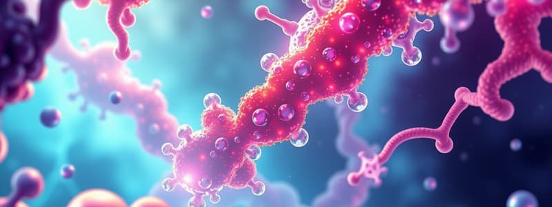 Allosteric Enzymes and Inhibition Vocabulary