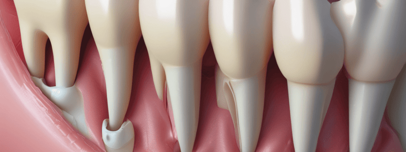 Odontología Restauradora II: Adhesión en Materiales Dentales